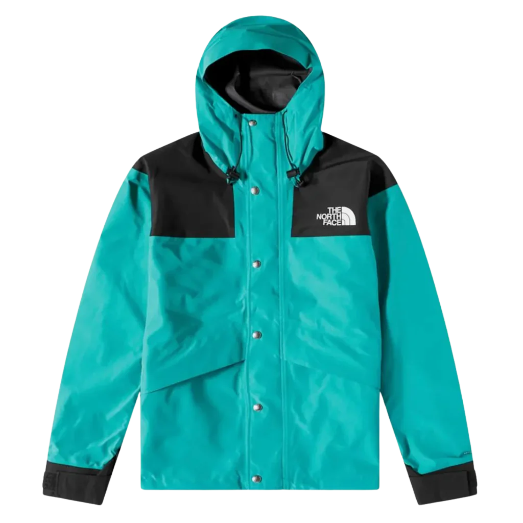 The North Face Retro 1986 Futurelight Mountain Jacket