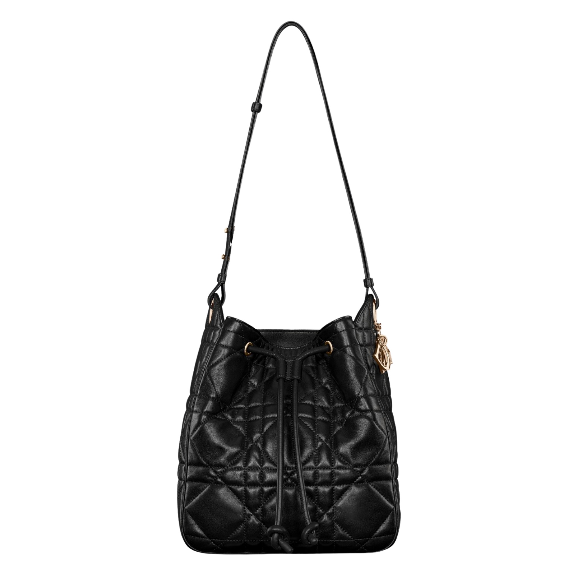 Dior D-Motion Bucket Bag
