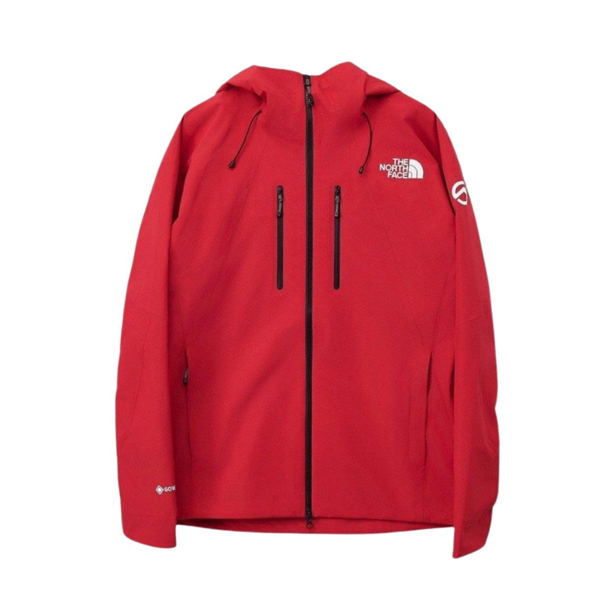 The North Face GORE-TEX Mountain Jacket
